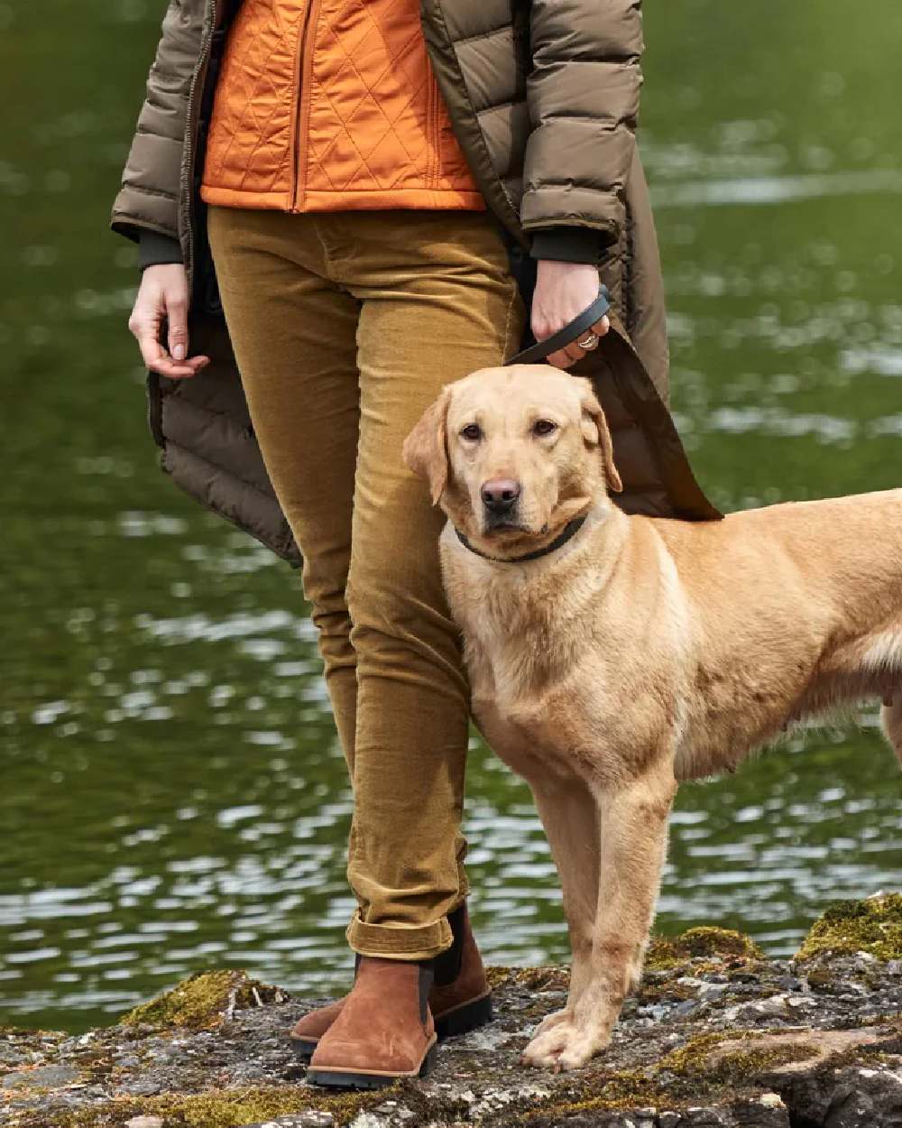 Dubarry Womens Honeysuckle Jeans